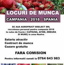 Indeed poate beneficia de compensații de la acești anagajatori, astfel încât să rămână. Locuri De Munca In Spania Home Facebook