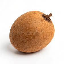 Image result for Manilkara