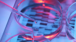 We did not find results for: Can Life Insurance Companies Get Your Genetic Test Results Forbes Advisor