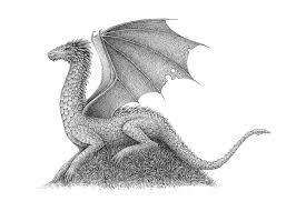 Draw the abdomen and the when drawing the hind limbs of a dragon, you can compare them to a cat´s limbs. How To Draw A Dragon With Pen And Ink