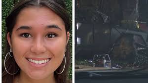 Leo the Cat from 'Pet Sematary' has passed away