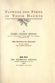 The mosquito ferns are used as a biological fertilizer in the rice paddies of southeast asia, taking advantage of their ability to fix nitrogen from the air into compounds that can then be used by other plants. Flowers And Ferns In Their Haunts 1901 Edition Open Library