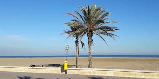 Welke plekken bieden de beste stranden in provincie valencia voor reizigers met een budget? Alles Was Du Uber Valencia Wissen Musst Sehenswurdigkeiten Tipps
