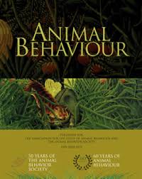 Image result for Oldfieldia macrocarpa