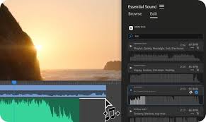 Screenshot of Adobe Premiere Pro