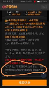 91PORN官方on X:  