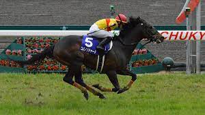 The site owner hides the web page description. é«˜æ¾å®®è¨˜å¿µ ç«¶é¦¬ Wikipedia