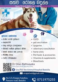 Pet vet animal hospital near me. Uva Pet Animal Hospital Badulla Home Facebook