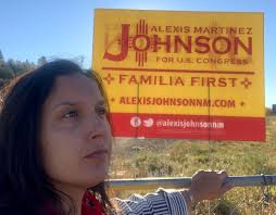 Read the diaries of women congressional candidates running in the 2020  election