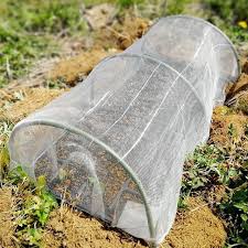 育苗用にミニ防虫トンネル設置葉物は苗の段階で虫にやられて一度も成功したことがないので今季こそは美味しく収穫したい 育苗 防虫ネット トンネル 家庭菜園 キャベツ ズッキーニ 育苗 家庭菜園 収穫