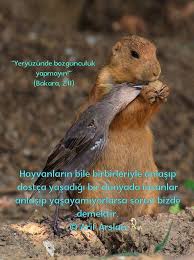 Arif Arslan Arslan Dr Twitter Hayvan Hayvanlar