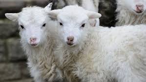 → ostern ist der sonntag nach dem ersten vollmond ab frühlingsbeginn (21. Ostermontag Bedeutung Ursprung Und Brauche Sat 1 Ratgeber