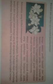 Bunga melati putih atau jasminum sambac ditetapkan sebagai salah satu bunga nusantara atau bunga nasional indonesia. Kesimpulan Dari Teks Bunga Melati Putih Tolong Dong Yang Bisa Bantu Aku Brainly Co Id