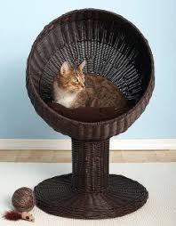 Top cat litter boxes top rated cat beds best cat tree condo best cats flea collar best cat brush cat breeds. Best Cat Beds Our Top 5 Choices