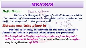 Maybe you would like to learn more about one of these? Meiosis Video Dailymotion