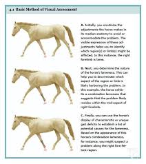 Basic Method For Visually Assessing Lameness In The Horse From Equine Lameness For The Layman By Dr Bob Grisel Ho Horse Care Horse Life Horse Training Tips