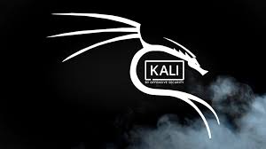 Kali Linux Oferece Ebook Gratuito Para Dominar De Vez Sua Plataforma Android Hacks Linux Tech Hacks