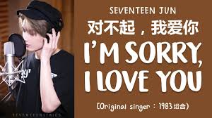 This is my first mv, so please bear with it. Lyrics ê°€ì‚¬ Seventeen ì„¸ë¸í‹´ Jun å¯¹ä¸èµ· æˆ'çˆ±ä½  I M Sorry I Love You Cover Youtube