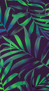 Cute Pinterest Cute Green Wallpaper Iphone