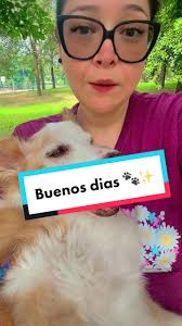Buenos dias 🐾🙏#perrito #perritoviejito #mamaperruna #mazapan  #perritosdetiktok🐶🐕 #mascotastiktok