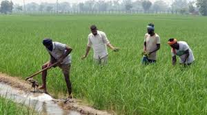 The government has uploaded a new list on the pm kisan website for 2020. Pm Kisan Samman Nidhi 8th Installment Know If You Will Get Rs 2000 Steps To Check Your Name In Beneficiaries List