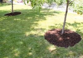 This is such an inexpensive and easy way to build a raised garden bed. 10 Cheap Landscaping Ideas You Can Diy In A Day Bob Vila