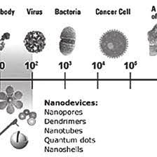 The following is a list of definitions relating to conversions between nanometers and kilometers. Relative Size Of A Nanometer Download Scientific Diagram
