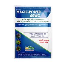 Magic-Power 60WG