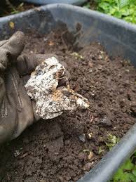 Our compost and worm castings are plant based and delivered throughout rva. Compost Bins Can You Really Put Everything Of Organic Origin Into Them Local Food Connect