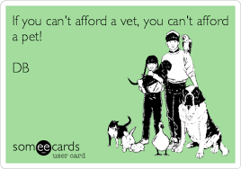 Someecards Com Vet Tech Humor Veterinary Humor Vet Medicine