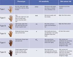 Skin Type Chart A Numerical Classification Scheme For The