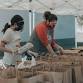 Food Pantry PS 33