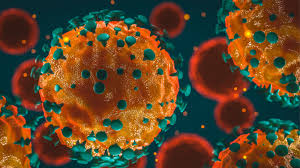 David parker says the government is making sure it is following the correct legal process throughout all stages of the lockdown. Advice For Members On The Coronavirus Outbreak Covid 19 Restaurant Association Of New Zealand