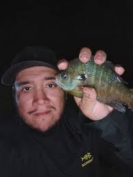 Ever wrestled a flathead this fat? Rod tip buried, drag screaming, the Zakk  Royce Big Cat Fever rod don't play. Tag a buddy who's still chasing 20s.  #hellcat #catfishlife #catchthefever