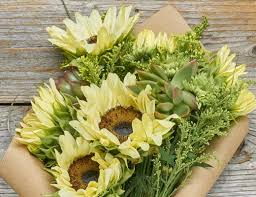 Send bouqs volcanic flowers and schedule delivery now! The Bouqs On Shark Tank Bouqs Blog