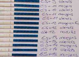 Schwangerschaftstest So Wendest Du Ihn Richtig An Planningmathilda