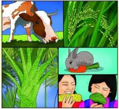 Coba sebutkan usaha jasa tersebut! Apa Ciri Ciri Usaha Ekonomi Yang Dikelola Sendiri Ini Penjelasannya