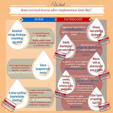 Vaginal discharge is most often a normal and regular occurrence. Pin On Ttc