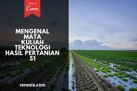Bahkan, beberapa tahun terakhir kita harus mengimpor bahan dasar produksi pangan dari negara lain untuk memenuhi kebutuhan pangan. Mengenal Beberapa Mata Kuliah Teknologi Hasil Pertanian Jenjang S1