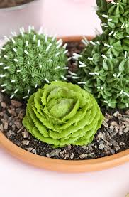 Cake tutorial + three types of fondant succulents! Cactus Garden Cakes Sprinkle Bakes
