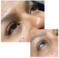 Elk Grove Village Light Display