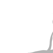 Strengthening the Evolving