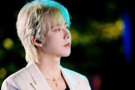 摩登兄弟刘宇宁《这一路》歌词及赏析- 词多多