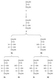 Structural Biochemistry Carbohydrates Ketoses Wikibooks