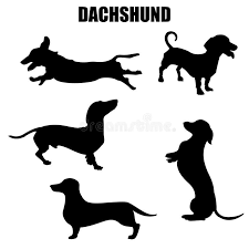 Black And White Dachshund Face Clipart Dachshund Dog Vector Icons Royalty Free Illustration Em 2020 Arte Dachshund Cao Basset Dachshund