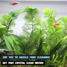 Keeping Your Fish Tank Or Aquarium Clean Is Critical To Keep Your Pets Healthy But It Takes Time And Effor Fish Tank Cleaning Cool Fish Tanks Fish Tank Themes