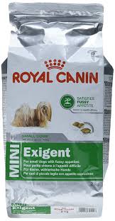 Royal Canin Mini Exigent Kucuk Irk Kopek Mamasi 3 Kg Amazon Com Tr