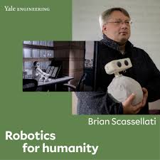 Image result for Ficus scassellatii