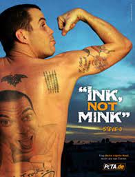 The 'jackass' star is known for crazy stunts and getting crazy tattoos but now. Steve O I D Rather Go Naked Than Wear Fur Peta Deutschland E V