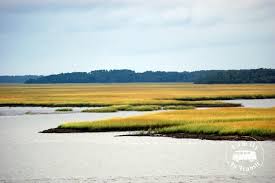 Flowers fish market & restaurant is located in sacramento city of california state. Top Things To Do While Visiting Edisto Island Sc